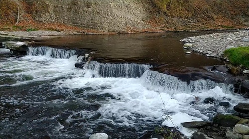 有关天性,小,性质的免费素材视频