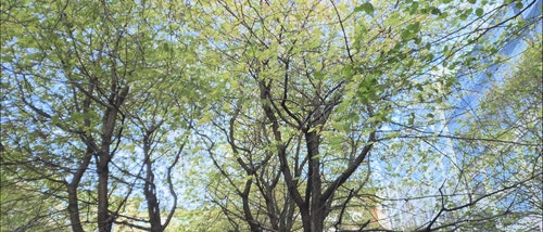 有关入口,公园,城市的免费素材视频