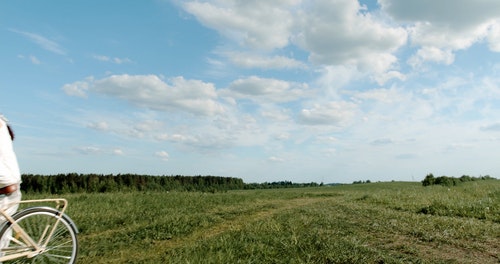 有关一对,人,夫妻的免费素材视频
