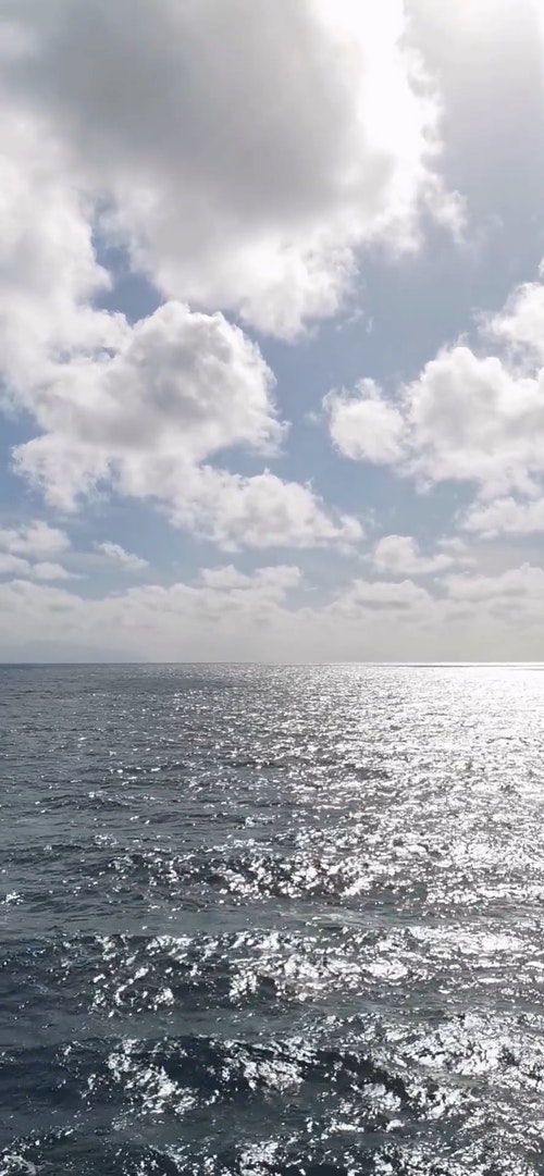 有关垂直拍摄,天性,天空的免费素材视频