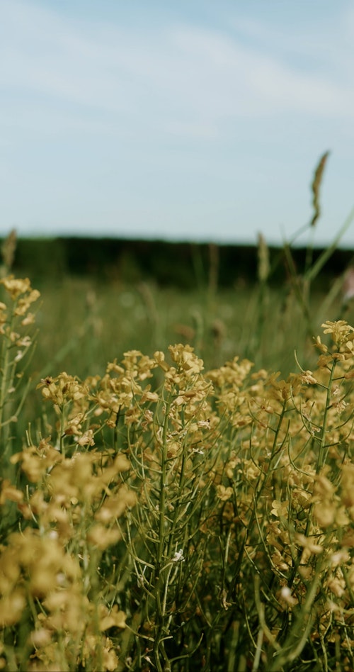 有关一对,人,休闲的免费素材视频