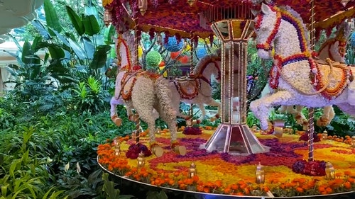 有关娱乐,旋转木马,有趣的免费素材视频