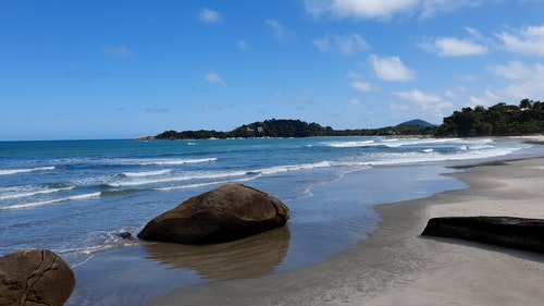 有关天性,岸边,性质的免费素材视频