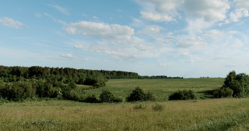 有关一对,人,天性的免费素材视频