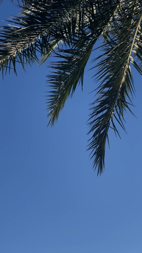 有关低角度视图,垂直拍摄,天空的免费素材视频