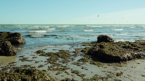 有关岩石海岸,波浪崩溃,海滩的免费素材视频