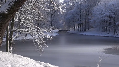 有关冬季,冻结的,季节的免费素材视频