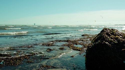 有关天性,岸边,性质的免费素材视频