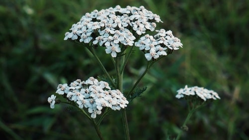 有关天性,工厂,干的免费素材视频