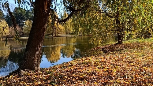 有关天性,性质,景观的免费素材视频