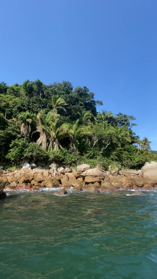 有关垂直拍摄,岸边,晴朗的天空的免费素材视频