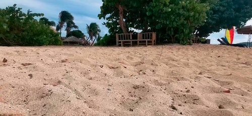 有关椅子,树木,海滩的免费素材视频