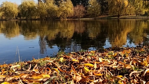 有关天性,性质,景观的免费素材视频