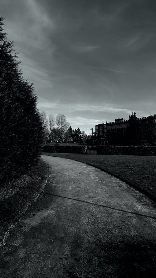 有关人行道,公园,垂直拍摄的免费素材视频