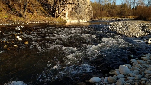 有关天性,小溪,性质的免费素材视频