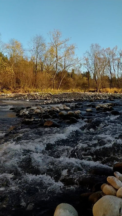 有关晴朗的天空,树木,水的免费素材视频