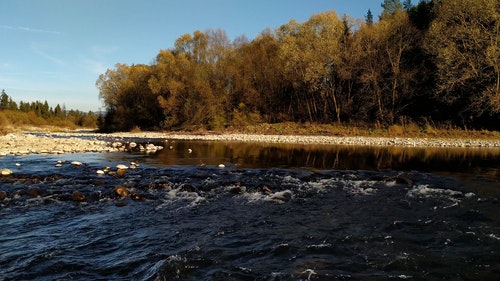 有关天性,性质,森林的免费素材视频