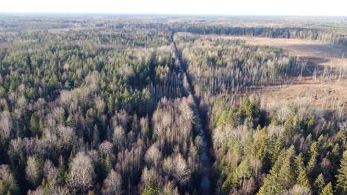 有关天性,性质,森林的免费素材视频