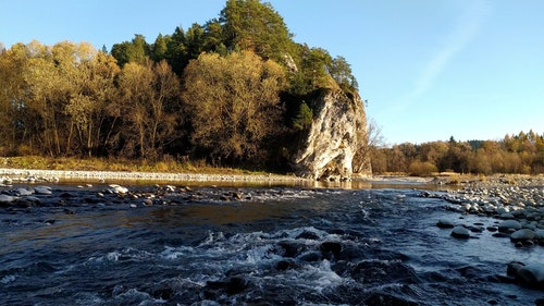 有关天性,小溪,性质的免费素材视频