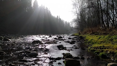 有关天性,小溪,性质的免费素材视频