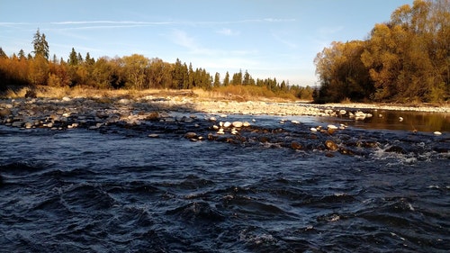 有关天性,小溪,性质的免费素材视频