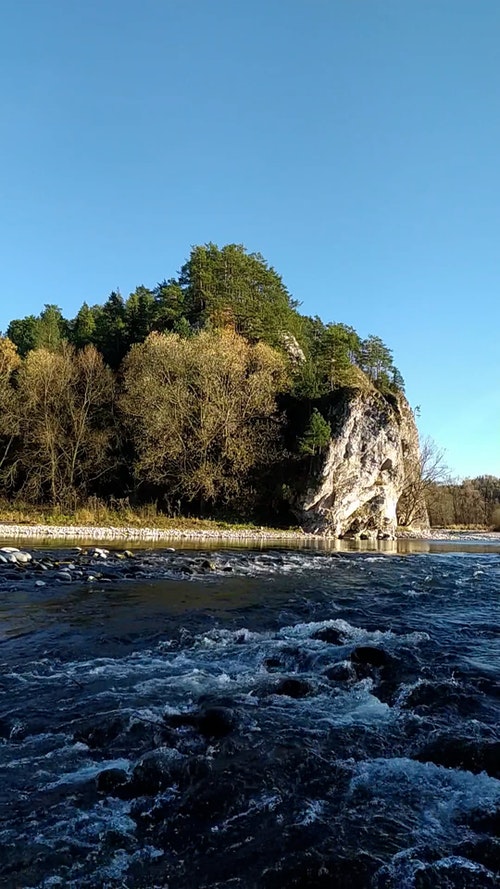 有关天性,小溪,性质的免费素材视频