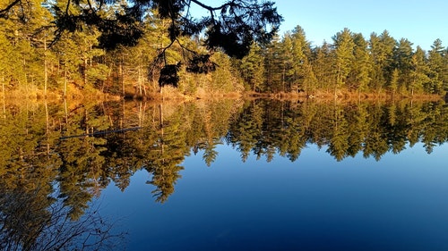 有关反射,天性,性质的免费素材视频