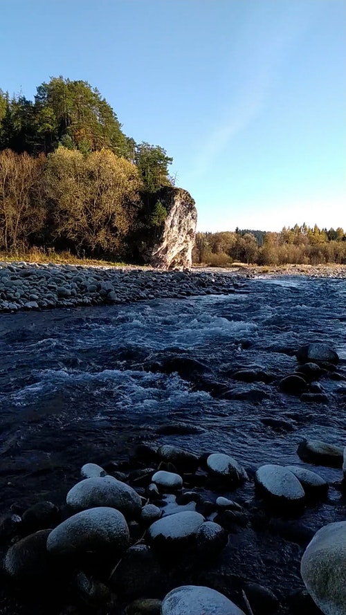 有关天性,小溪,性质的免费素材视频