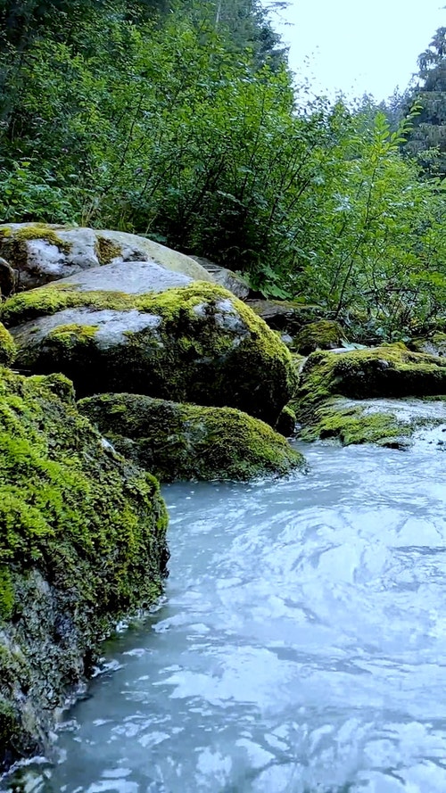 有关垂直视频,天性,急流的免费素材视频