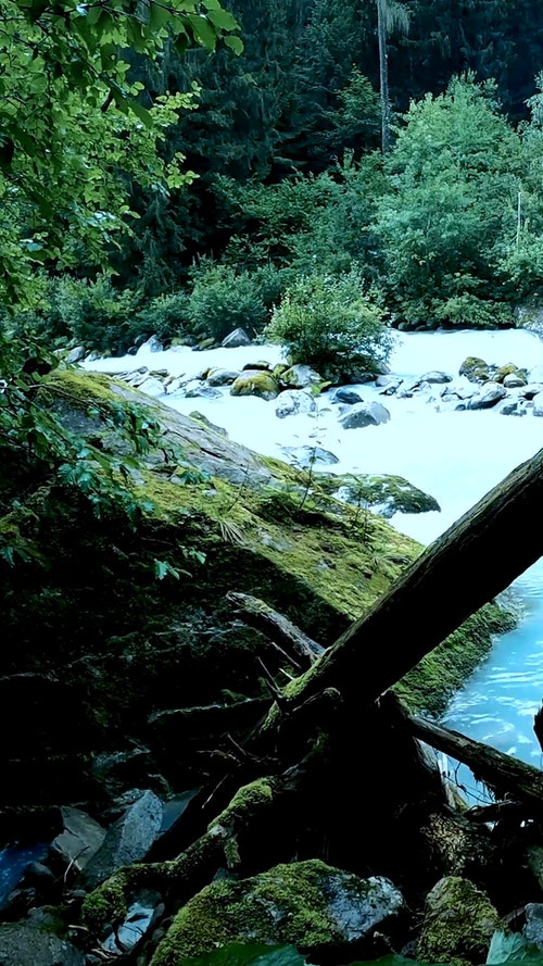 有关垂直视频,天性,岩石的免费素材视频