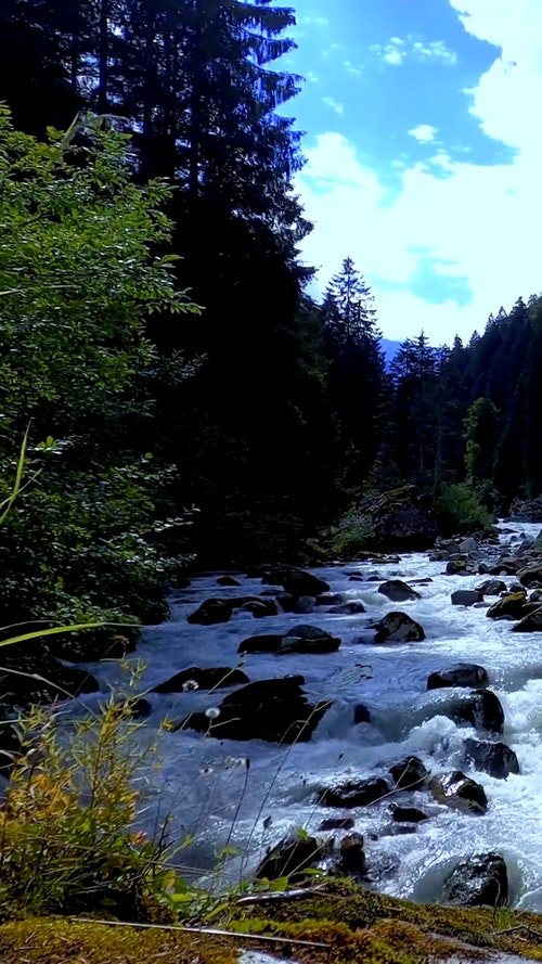 有关垂直视频,天性,岩石的免费素材视频