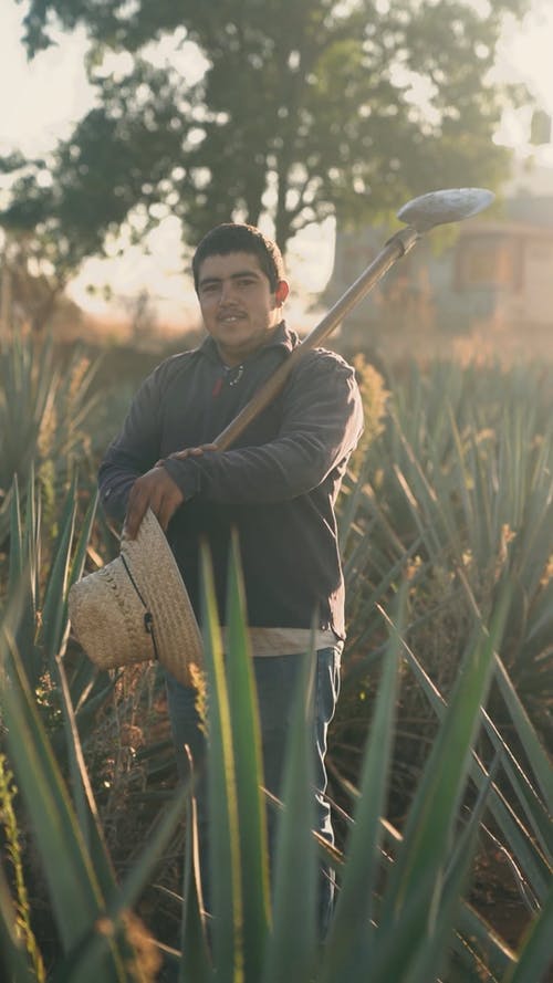 有关@户外,人,农地的免费素材视频